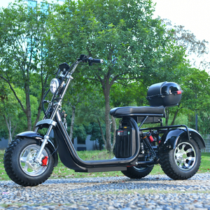 Off Road 3 wielen Fat Tire Scooter Trike 2000W Motor 45KM/H CA USA VOORRAAD