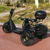 Outdoor elektrische scootmobiel 2000W motor 60V20AH verwijderbare lithiumbatterij