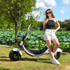 USA Stock elektrische scooter met dikke banden 1500w 48v 20ah met grote stoel zonder logo