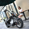 Elektrische Fat Tire Scooter Citycoco Zwart M1