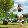 USA Stock elektrische scooter met dikke banden 1500w 48v 20ah met grote stoel zonder logo