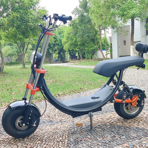 USA Stock elektrische scooter met dikke banden 1500w 48v 20ah met grote stoel zonder logo