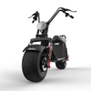 Elektrische scooter met dikke banden Citycoco X20