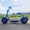 X1 Fat Tire-scooter met voor- en achterverlichting en verwijderbare batterij