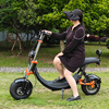 USA Stock elektrische scooter met dikke banden 1500w 48v 20ah met grote stoel zonder logo