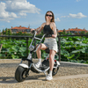 USA Stock elektrische scooter met dikke banden 1500w 48v 20ah met grote stoel zonder logo