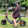 USA Stock elektrische scooter met dikke banden 1500w 48v 20ah met grote stoel zonder logo