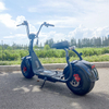 X1 Fat Tire-scooter met voor- en achterverlichting en verwijderbare batterij